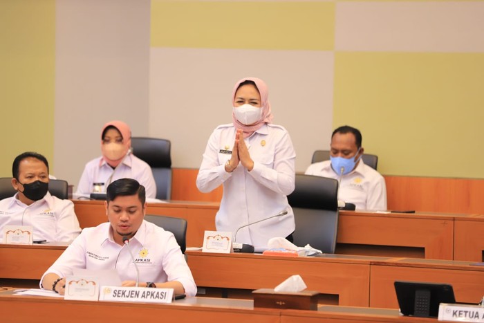 Bupati Tulang Bawang Hadiri RDPU dengan Banggar DPR Bahas UU HKPD