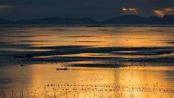 Desa Xiapu terkenal dengan makanan lautnya. Tetapi hasil panen dan laut yang buruk selama bertahun-tahun mengakibatkan ekonomi daerah itu menderita. Pemerintah setempat memiliki ide cemerlang untuk mengubah desa ini menjadi tempat wisata. Foto: Weibo
