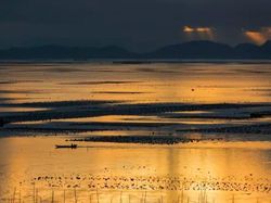 Desa Serba Palsu di China Cuma Untuk Konten Instagram