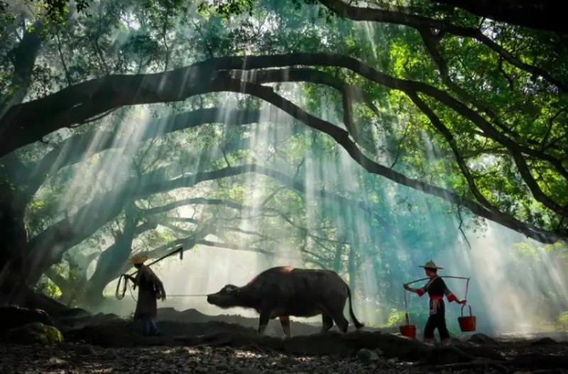 Fotoinet Desa Serba Palsu di China Cuma Untuk Konten Instagram