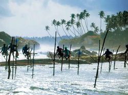 Desa Serba Palsu di China Cuma Untuk Konten Instagram