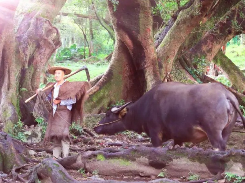 Fotoinet Desa Serba Palsu di China Cuma Untuk Konten Instagram