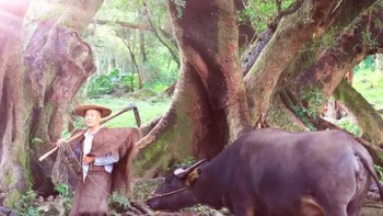 Di sela-sela pemotretan, petani dan hewan di samping mereka kadang beristirahat. Baik model manusia maupun hewan, sehari-harinya bekerja mondar-mandir berjam-jam di depan fotografer yang mengabadikan akting mereka berpura-pura sebagai petani. Foto: Weibo
