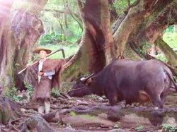 Desa Serba Palsu di China Cuma Untuk Konten Instagram