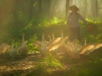 Fotoinet Desa Serba Palsu di China Cuma Untuk Konten Instagram