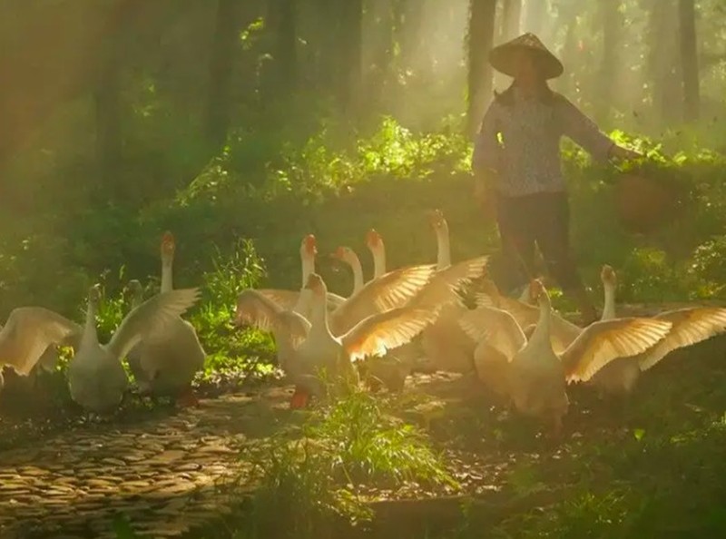 Fotoinet Desa Serba Palsu di China Cuma Untuk Konten Instagram