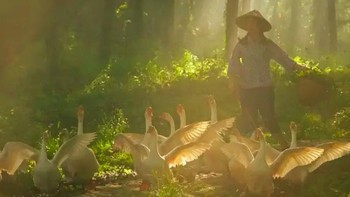 Model yang pura-pura jadi petani menggembala bebek. Para model yang berperan sebagai petani, nelayan, pedagang di desa itu, menawarkan jasa untuk berpose natural untuk koleksi foto. Foto: Weibo