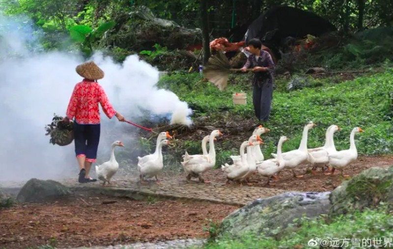 Fotoinet Desa Serba Palsu di China Cuma Untuk Konten Instagram