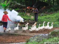 Desa Serba Palsu di China Cuma Untuk Konten Instagram