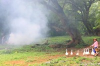 Fotoinet Desa Serba Palsu di China Cuma Untuk Konten Instagram