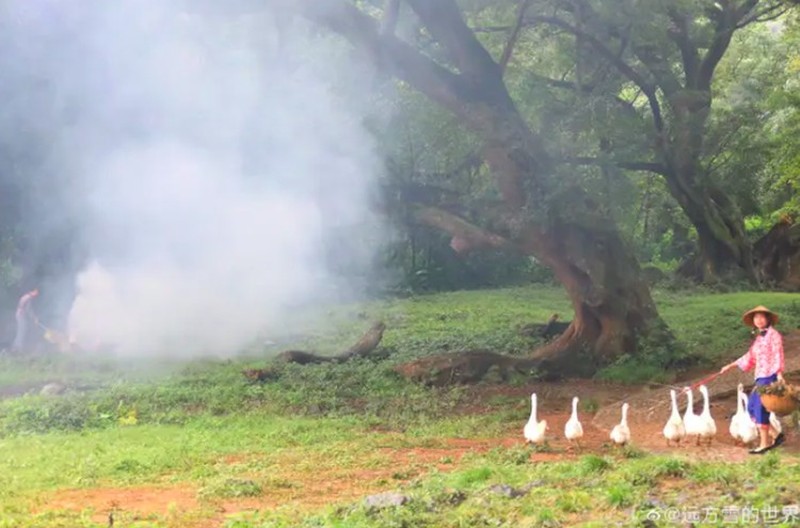 Fotoinet Desa Serba Palsu di China Cuma Untuk Konten Instagram