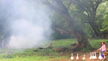 Untuk membuat efek foto tampak berkabut, dibuatlah kabut buatan dengan meniupkan asap. Foto: Weibo