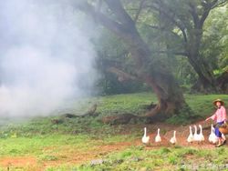 Desa Serba Palsu di China Cuma Untuk Konten Instagram