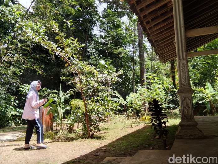 gempa gunungkidul 4,9 terasa di pacitan
