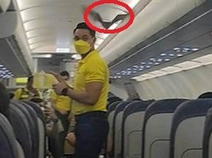 Pesawat Sudah Mau Take Off, Eh Malah Kedatangan Tamu Tak Diundang