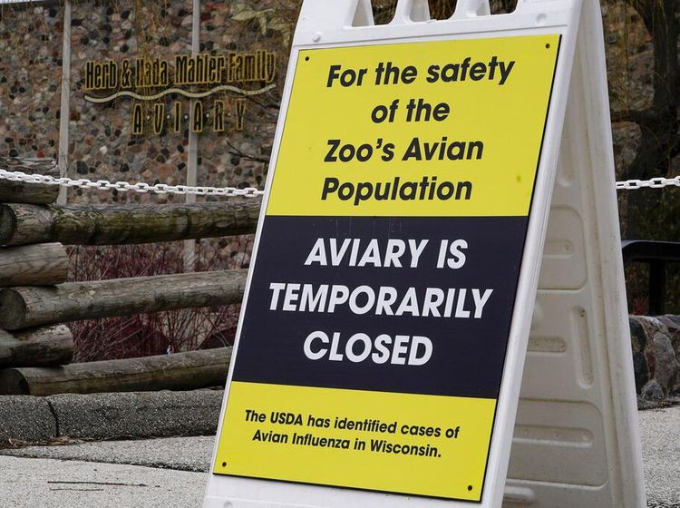 Koleksi Burung di Kebun Binatang AS Menghilang, Ada Apa?