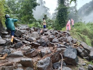 Warga Tuding Kebun Kapulaga Jadi Penyebab Longsor di Purbalingga