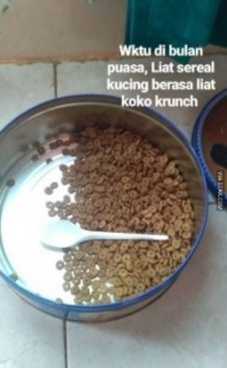 Meme godaan puasa