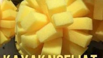 Ada yang melihat sikat ini seperti mangga kupas. Foto: Twitter