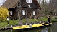 Mengutip AP, Spreewald terletak sekitar 100 km di tenggara ibu kota Jerman, Berlin. 