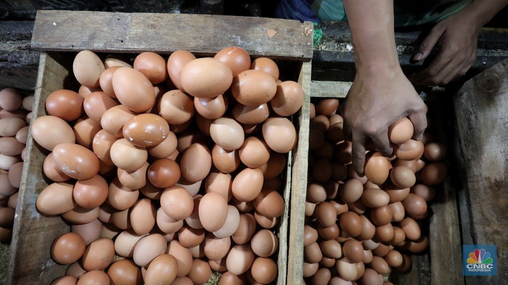 Peagang telur ayam di Pasar Minggu, Rabu (6/4/2022) (CNBC Indonesia/Andrean Kristianto)