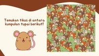 Ayo jangan menyerah nyari gambar tikusnya!