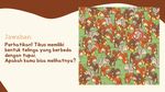 Teka-teki Visual Ini Bikin Otak Mikir Keras, Hati-hati Terkecoh!