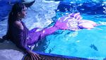 Yuk! Ngabuburit Sambil Melihat Pemberian Pakan Ikan