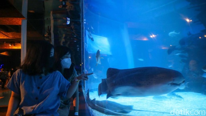 Jakarta Aquarium & Safari (JAQS) menyajikan banyak keseruan bagi masyarakat yang ingin menghabiskan waktu sambil menunggu berbuka puasa. Yuk lihat.