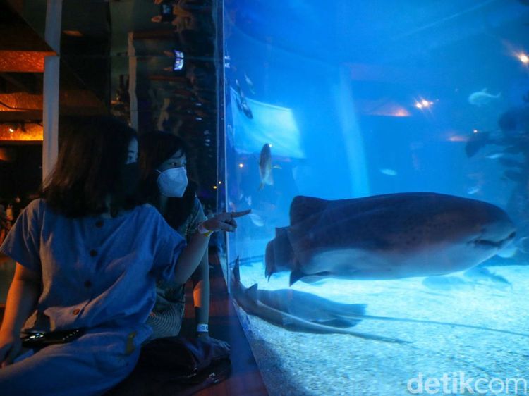 Foto: Jakarta Aquarium dengan Tema Jakarta Tempo Doeloe