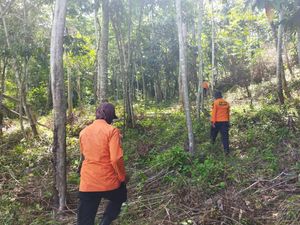 Dicari! Pria 51 Tahun Hilang Setelah Masuk Hutan di Konawe