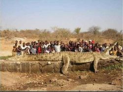 Coba Perhatikan Lagi Foto Ini, Jangan Sampai Terkecoh