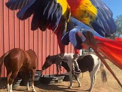 Coba Perhatikan Lagi Foto Ini, Jangan Sampai Terkecoh