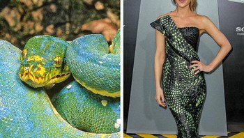 Corak gaun Kate Beckinsale terinspirasi dari kuit ular. Foto: Brightside
