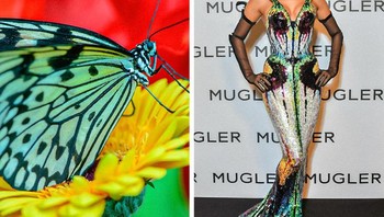 Gaun Irina Shayk terinspiras dengan motif kupu-kupu Foto: Brightside