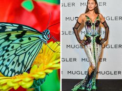 Ketika Gaun Para Seleb Dunia Dibandingkan dengan Hewan