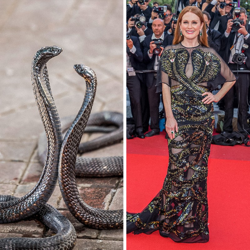 Fotoinet Ketika Gaun Para Seleb Dunia Terinspirasi dari Hewan