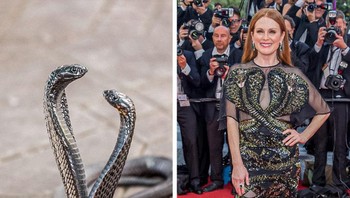 Aktris senior Julianne Moore memiliki gaun serba hitam dengan gambar ular cobra. Foto: Brightside
