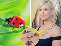 Ketika Gaun Para Seleb Dunia Dibandingkan dengan Hewan