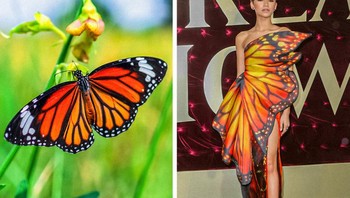 Zendaya, terinspirasi dari warna dan corak kupu-kupu. Foto: Brightside