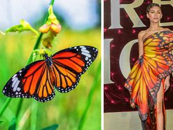 Ketika Gaun Para Seleb Dunia Dibandingkan dengan Hewan