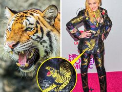 Ketika Gaun Para Seleb Dunia Dibandingkan dengan Hewan