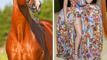 Unik, bagian depan gaun Kim Petras ada wajah kuda yang menonjol. Foto: Brightside