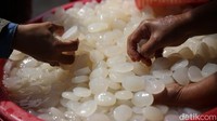 Kolang-kaling dapat menyehatkan tulang karena memiliki kandungan kalsium yang tak jauh beda dengan susu. 100 gr susu mengandung 125 mg kalsium, sedangkan 100 gr kolang-kaling mengandung 91 mg kalsium.   
