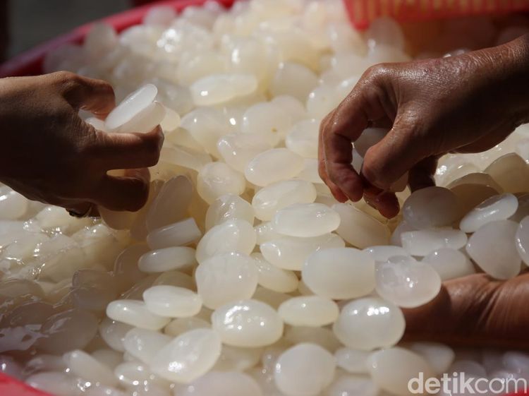 Kaya Manfaat, Kolang-kaling Jadi Primadona Saat Ramadan