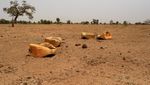 Demi Dapat Air, Warga Senegal Gali Dasar Sungai yang Mengering