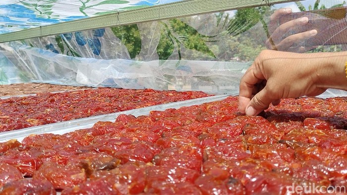 Kurma Jawa