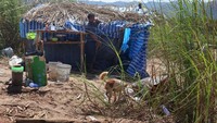 Di sisi sungai Thailand, tenda para pengungsi hampir tidak memberikan perlindungan dari terik matahari, nyamuk, dan hujan.