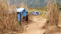 Ratusan pengungsi Myanmar kini hidup di tengah rumput tinggi tepi sungai di perbatasan Thailand. Mereka terjebak di antara negara yang tidak menginginkan mereka dan negara yang militernya bisa membunuh mereka.  