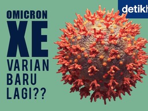 Fakta-fakta COVID Varian XE, Gabungan Omicron BA.1 dan BA.2